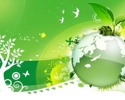 Региональный этап XVIII Всероссийского детского экологического форума «Зелёная планета 2020»