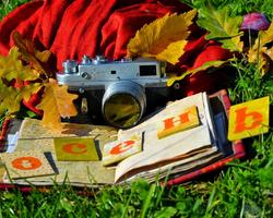 Муниципальный фотоконкурс «Осенний вернисаж»