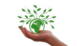 Итоги XX Всероссийского детского экологического форума «Зелёная планета 2022»