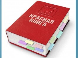 Акция «По страничкам Красной книги»